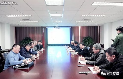 深化國(guó)際合作，共筑技術(shù)橋梁 澳大利亞EIS與上?？泼汗旧W臨集團(tuán)開展技術(shù)交流